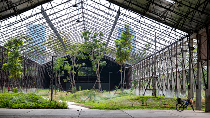 Greenhouse with tall trees and bicycle