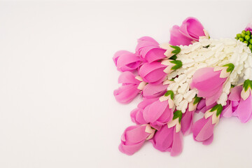 Bouquet of pink and white flowers on a white background with space
