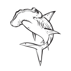 hammerhead shark on a white background - obrazy, fototapety, plakaty