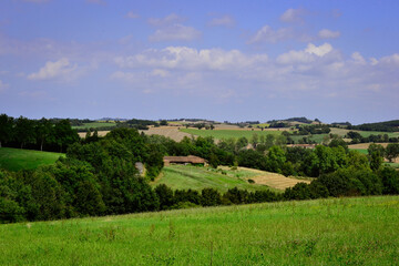 landscape with field and sky