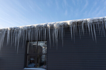 Lots of icicles hanging from the edge of a snow-covered roof in a sunny springtime