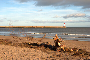 wood debris, sea, beach and pier at Spittal in winter