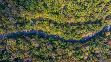 Aerial view over winding forest asphalt road, Road and green mountains in summer, Landscape with car on the roadway, trees in summer, Aerial View of a road on forest.