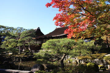 Autumn leaves and Ginkakuji temple in Kyoto, Japan