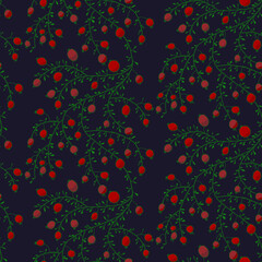 Vector pattern of wild rose berries. Pattern with wild rose bushes.