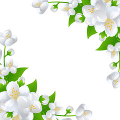 frame with jasmine flowers