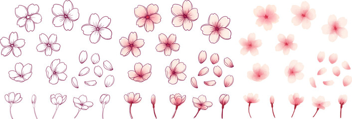 繊細な桜の線画と塗りのイラストセット　ベクター素材