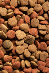 Close-up background of different colored and form food for pets.