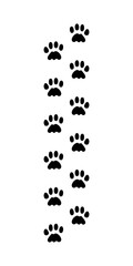 Cute animal. Foot dog or cat seamless pattern. Footprint graphic. Repeated pattern trail cat or dog. Shape paw isolated on white background. Vector