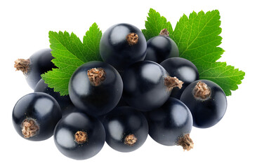 Pile of fresh black currants with leaf cut out