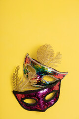 Festive face mask for carnival celebration on colored background. Vertical format