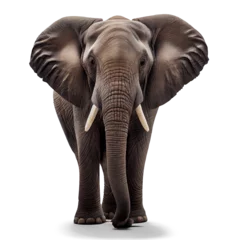 Foto op Canvas AI generative elephant isolated on white © I LOVE PNG