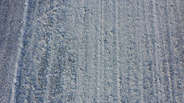 Drohnen Luftaufnahme, Winterlandschaft, Schnee bedecktes Ackerland mit Tierspuren