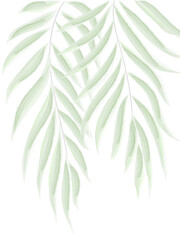 Palm branches watercolor green leaves elements. Collection botanical vector isolated on white background suitable for background, poster printing, postcards, textiles
