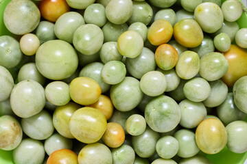 Green cherry tomatoes lie in a bowl.