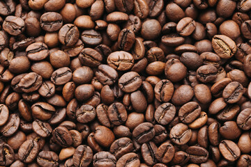 Coffee seeds pattern Black morning coffee beans texture. Artistic light studio background. Cafe drinking backdrop. Closeup roasted espresso drink. Breakfast energy background.