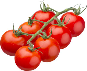 Branch ripe tomatoes isolated on white background
