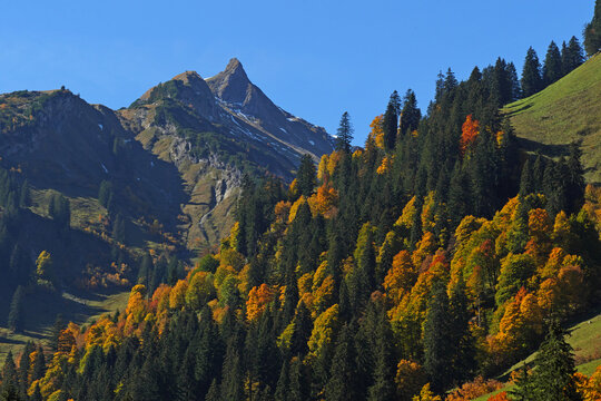 Ahornboden im Obertal bei Hinterstein mit Blick auf den Zeiger (1995m).