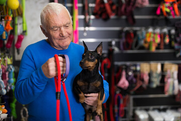 Elderly man chooses and buys leash for his doberman pinscher dog at a pet shop