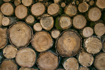 Fototapeta premium Wooden background. Wooden lumber for the background. Wooden texture.