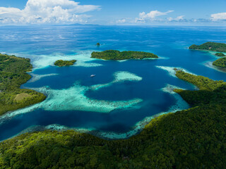 Fototapeta na wymiar Extensive coral reefs fringe rainforest-covered islands in the Solomon Islands. This beautiful country is home to spectacular marine biodiversity and many historic WWII sites.