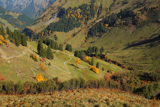 Herbst im Obertal bei Hinterstein.