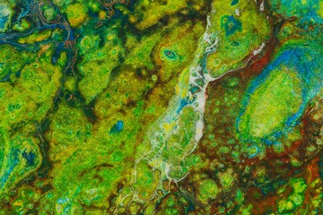Color paint- acrylic fluid art. Exotic marble texture- abstract background