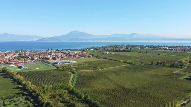 garda lake aereal shot vinegard