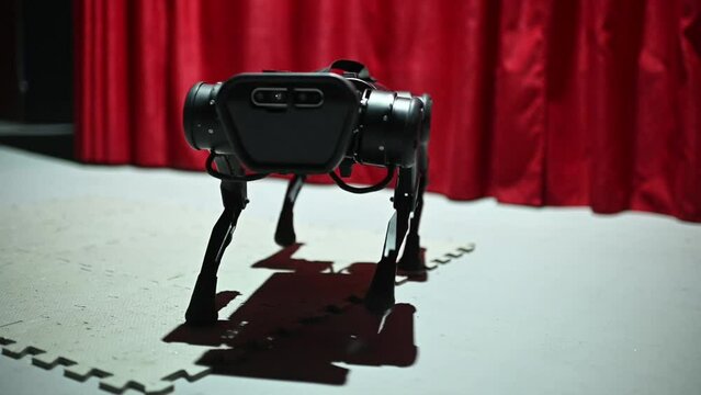 robot dog comes close to the camera looks and leaves at the robotics exhibition