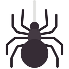 Spider Icon