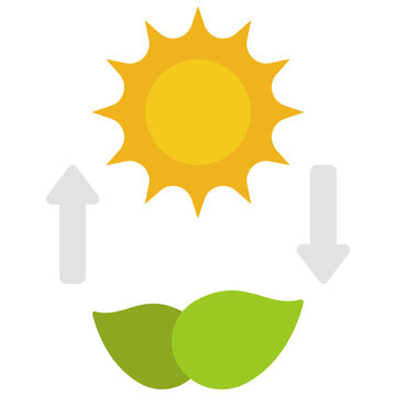 Photosynthesis Icon