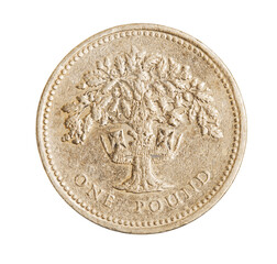 one british pound coin money