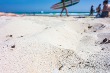 Surfer