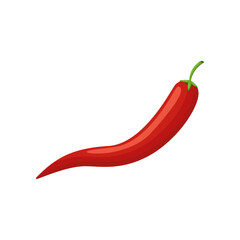 Chili pepper vector illustration. Drawing of product with bitter taste isolated on white background. Anatomy, physiology concept
