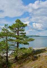 Landscape in the archipelago in Finland in summer