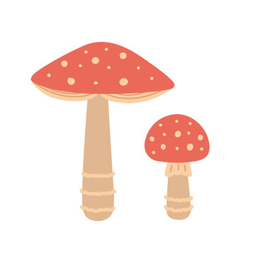 Fly agaric mushrooms. Retro mushrooms. Vector Illustration for backgrounds, covers and packaging. Image can be used for greeting cards, posters, stickers and textile. Isolated on white background.