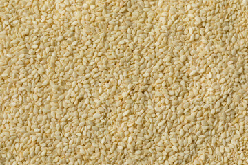 Homemade Organic White Sesame Seeds