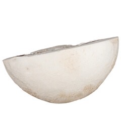 Whole champignon mushroom isolated on white background without shadow