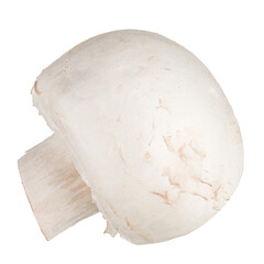 champignon mushroom isolated on white background without shadow