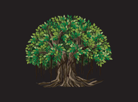 Banyan tree vector illustrations on black background