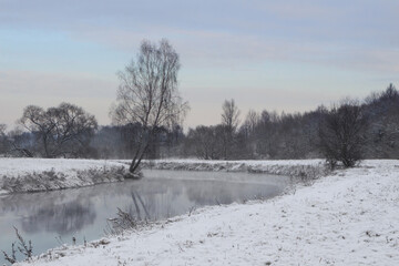 trees and grass in the frost by the river in winter before christmas