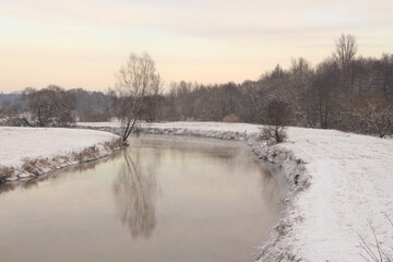 trees and grass in the frost by the river in winter before christmas