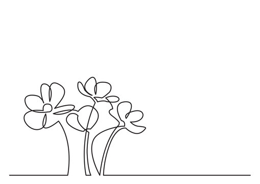 continuous line drawing beautiful flowers 3 - PNG image with transparent background