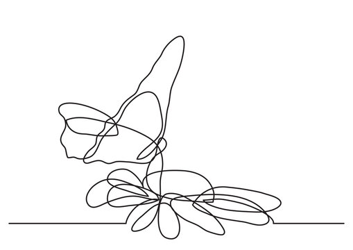 continuous line drawing butterfly and flower - PNG image with transparent background