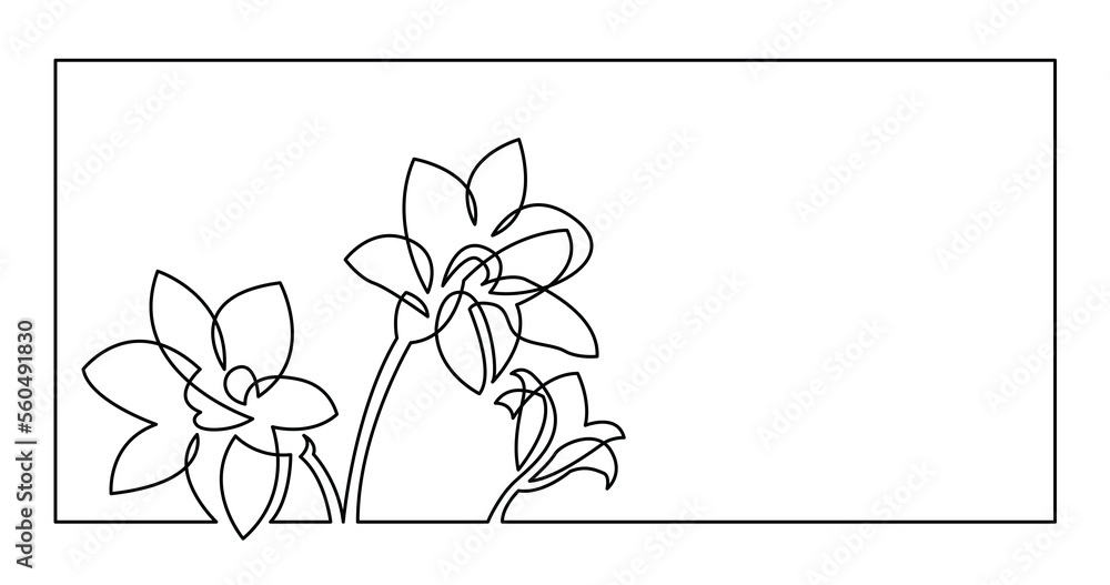 Poster continuous line drawing of three beautiful daffodil flowers invitation card design - png image with 