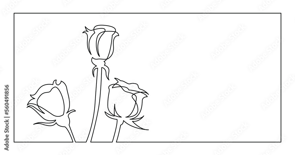Poster continuous line drawing of three garden roses frame design - png image with transparent background