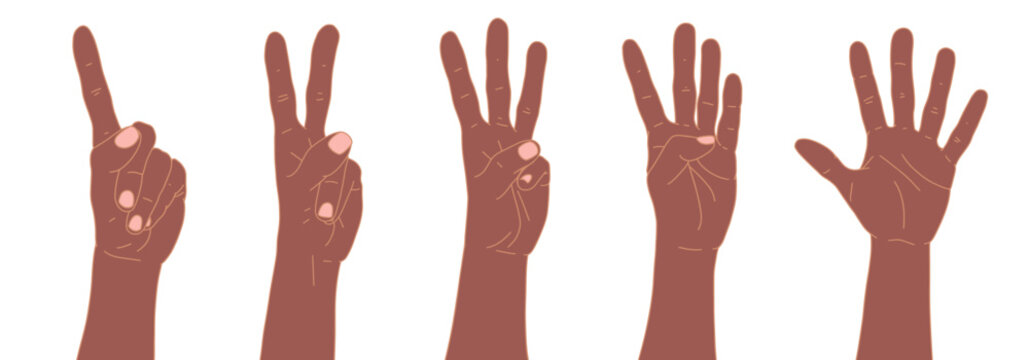 Set of hands. Counting from one to five with your hands. Finger-counting. Body language. Communication gestures concept. Number 1, 2, 3, 4, 5 with hand sign