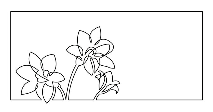 continuous line drawing of three beautiful daffodil flowers invitation card design - PNG image with transparent background