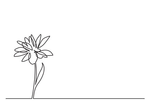 continuous line drawing one beautiful flower - PNG image with transparent background