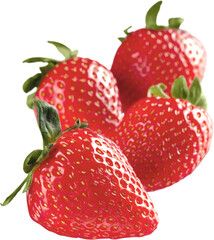 Close-up of Ripe Strawberries - Isolated
